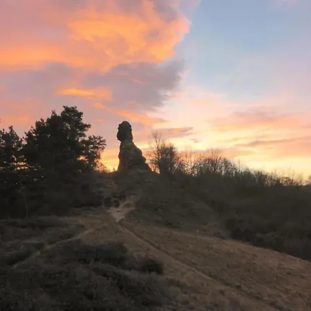 Cinema Comfort In 公寓