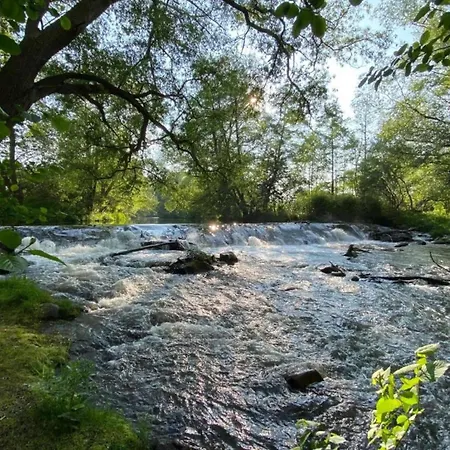 Cinema Comfort In * 巴伦施泰特