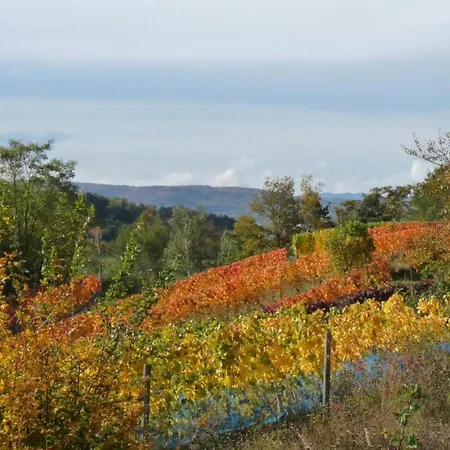 公寓 Cinema Comfort In 巴伦施泰特
