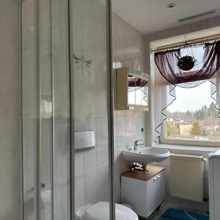 公寓 Ferienwohnung In Ballenstedt 巴伦施泰特