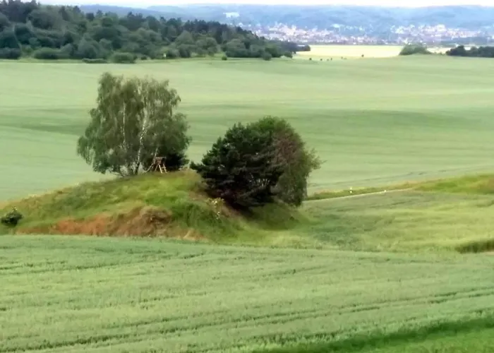 Cinema Comfort In Lägenhet Ballenstedt