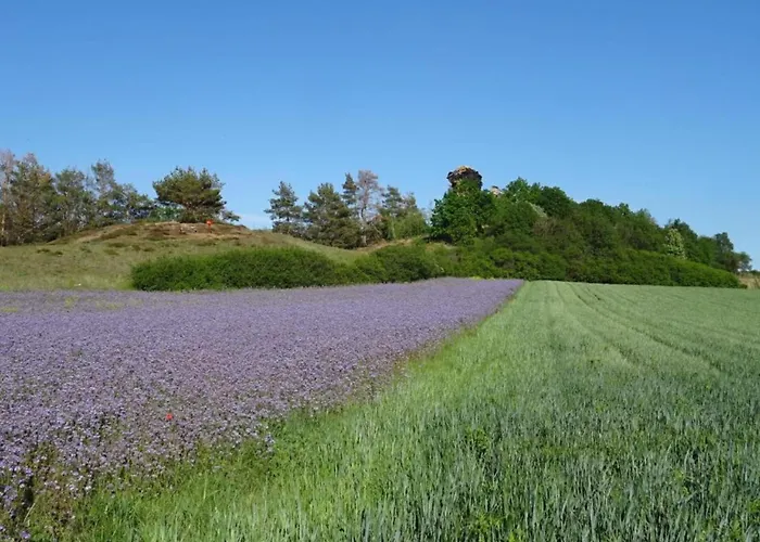 公寓 Ferienwohnung In Ballenstedt *