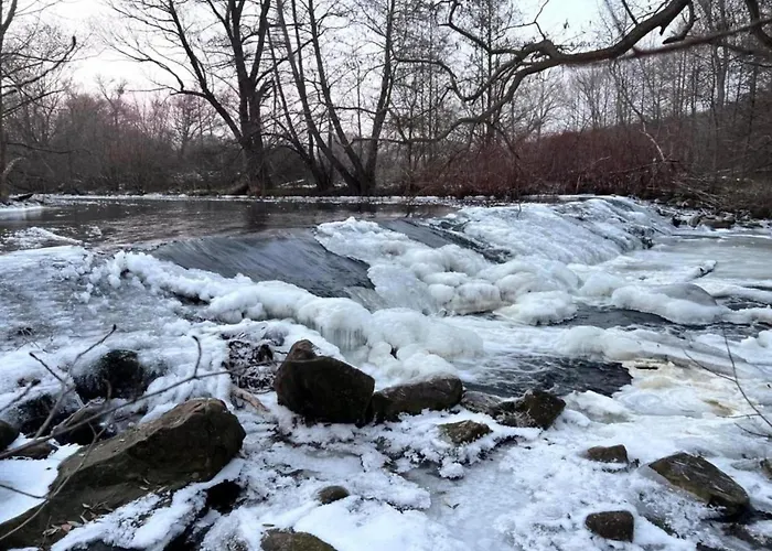 Ferienwohnung In Ballenstedt * 巴伦施泰特