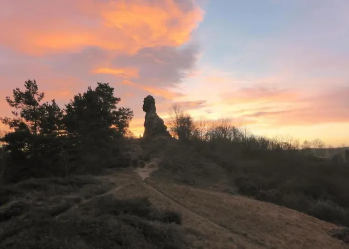 Ferienwohnung In Ballenstedt 公寓