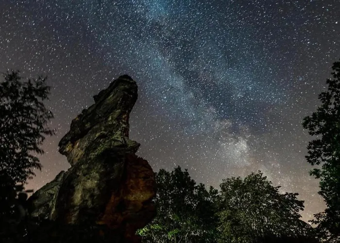 Ferienwohnung In Ballenstedt 公寓