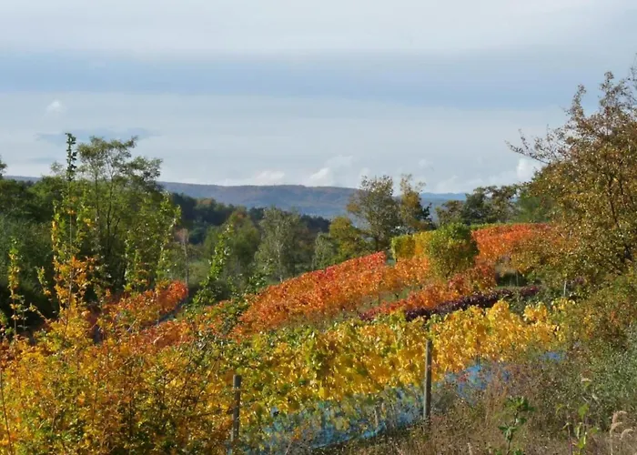 公寓 Ferienwohnung In Ballenstedt 巴伦施泰特